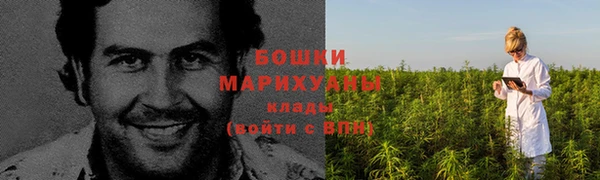 крисы Елизово