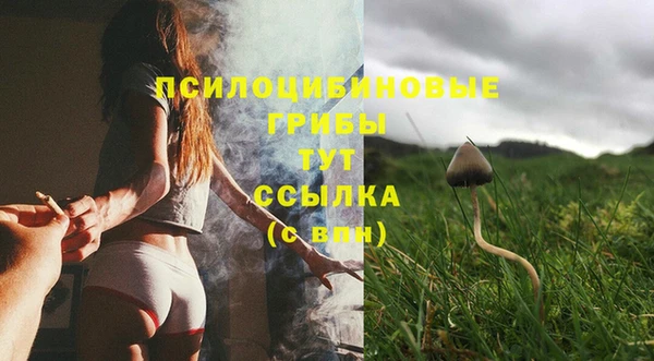 соль курить ск Заволжье