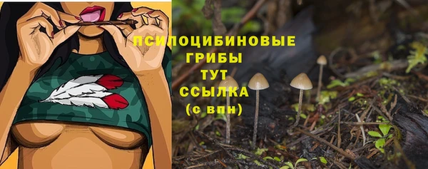 apvp Заводоуковск