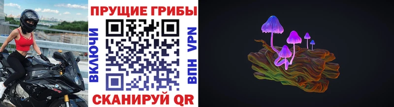 Галлюциногенные грибы Magic Shrooms  Пермь 
